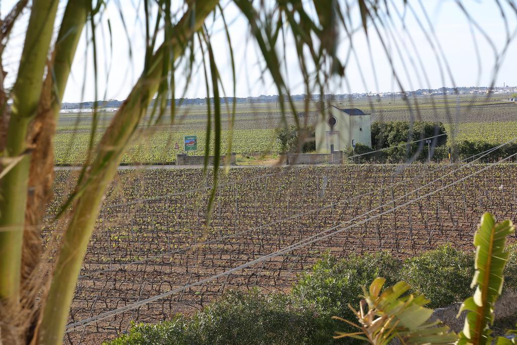 Eco Green La Vigna เลเวราโน ห้อง รูปภาพ