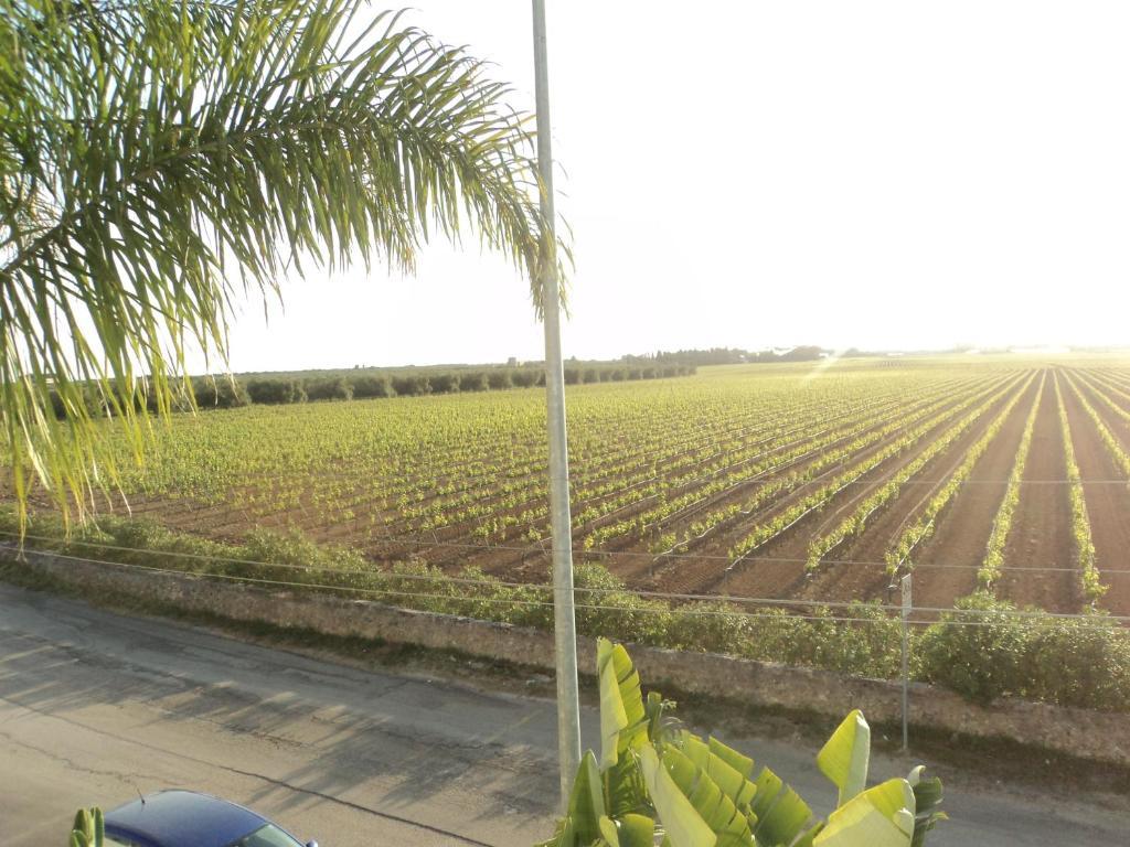Eco Green La Vigna เลเวราโน ห้อง รูปภาพ